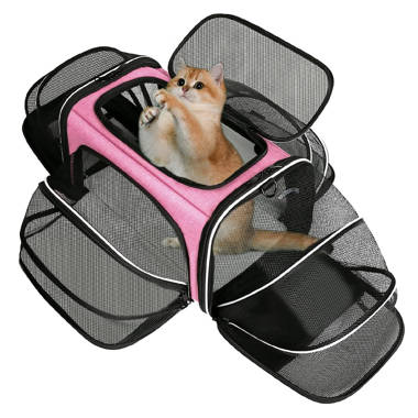 Wayfair cat outlet carrier